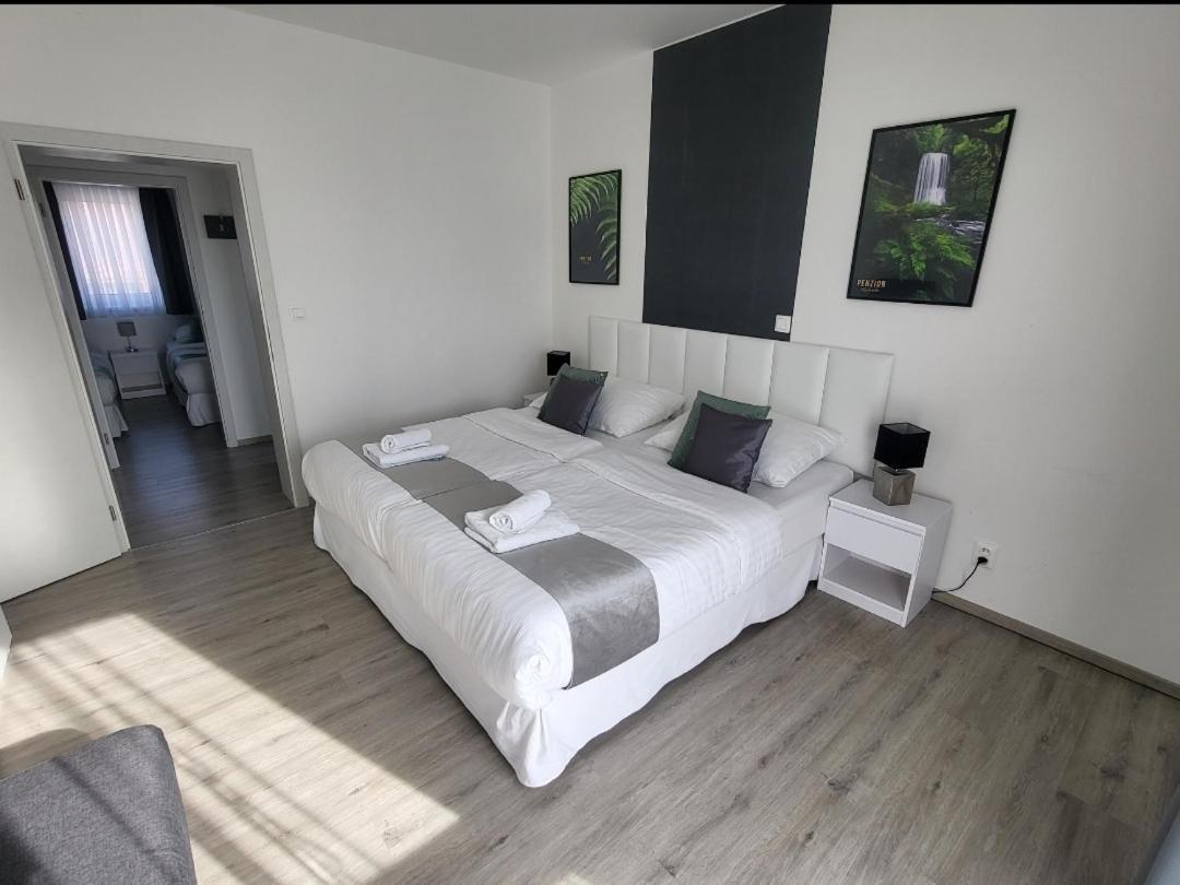Apartman Gabriela Roudne Экстерьер фото